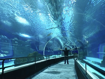 Passeios no Rio de Janeiro - Santa Teresa, Lapa e Cinelândia com Passeio de Bondinho