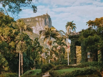 Passeio pelo Rio de Janeiro Tours - Rio Natureza: Floresta da Tijuca e Jardim Botânico
