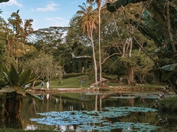Passeios no Rio de Janeiro - Rio Natureza: Floresta da Tijuca e Jardim Botânico