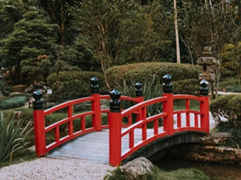 Passeios no Rio de Janeiro - Mosteiro de São Bento