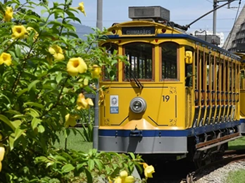 Passeios no Rio de Janeiro - Boulevard Olímpico, Museu do Amanhã e Rio Histórico